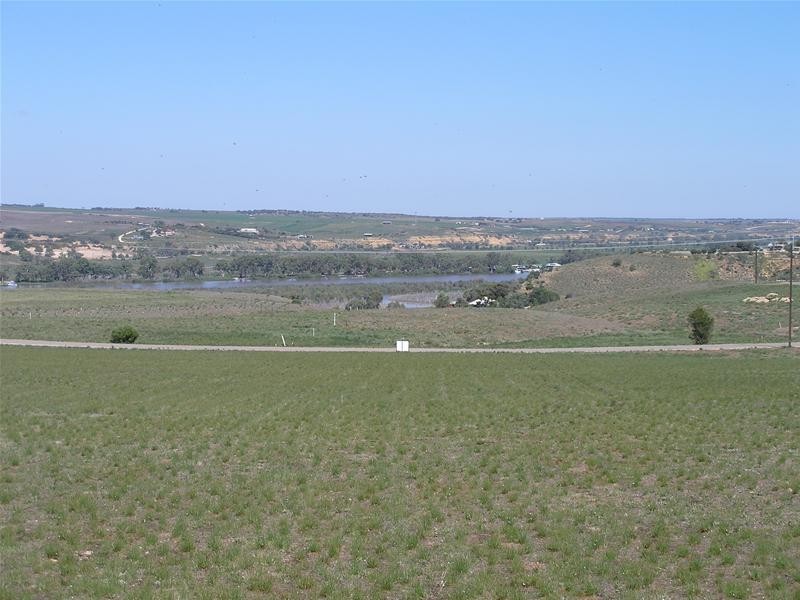 10 Kirkness/Omega Roads Shearer Heights, Mannum SA 5238