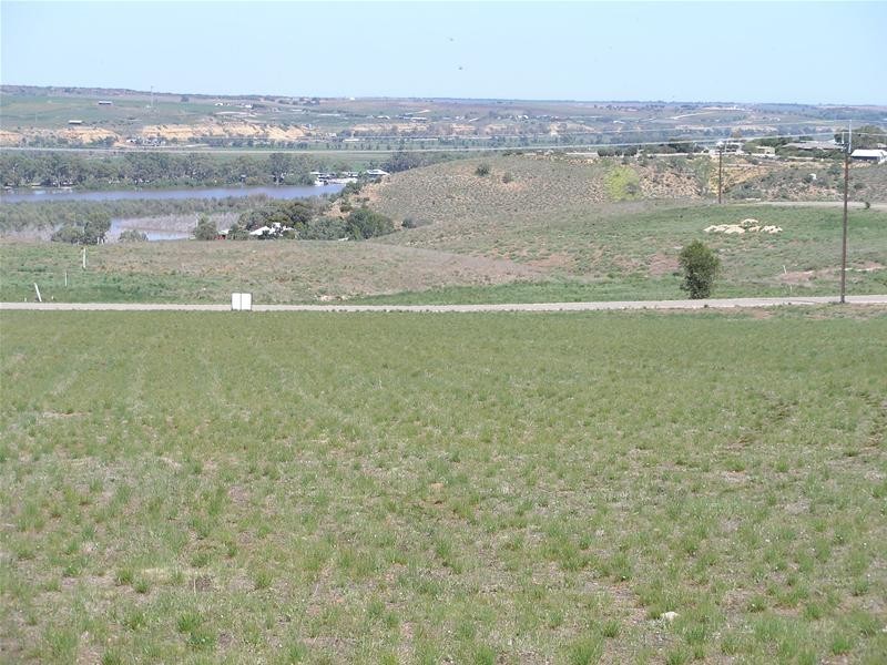 10 Kirkness/Omega Roads Shearer Heights, Mannum SA 5238