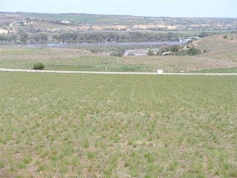 10 Kirkness/Omega Roads Shearer Heights, Mannum SA 5238