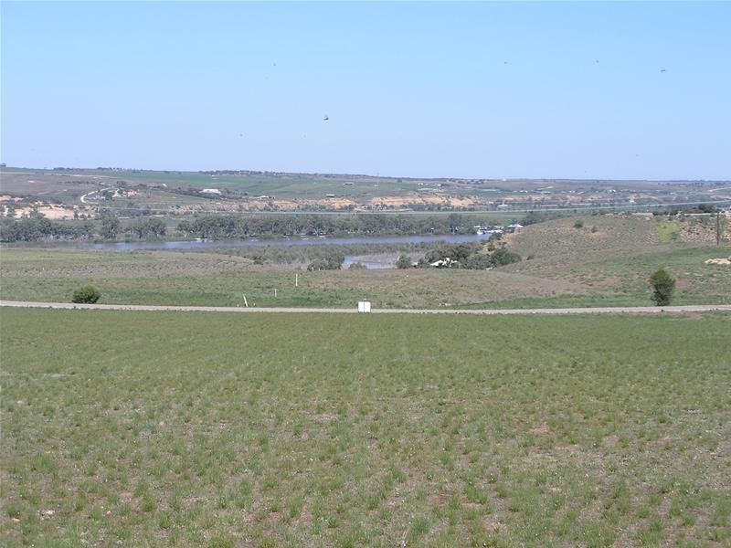 10 Kirkness/Omega Roads Shearer Heights, Mannum SA 5238