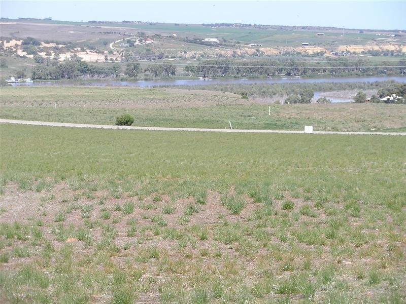 10 Kirkness/Omega Roads Shearer Heights, Mannum SA 5238