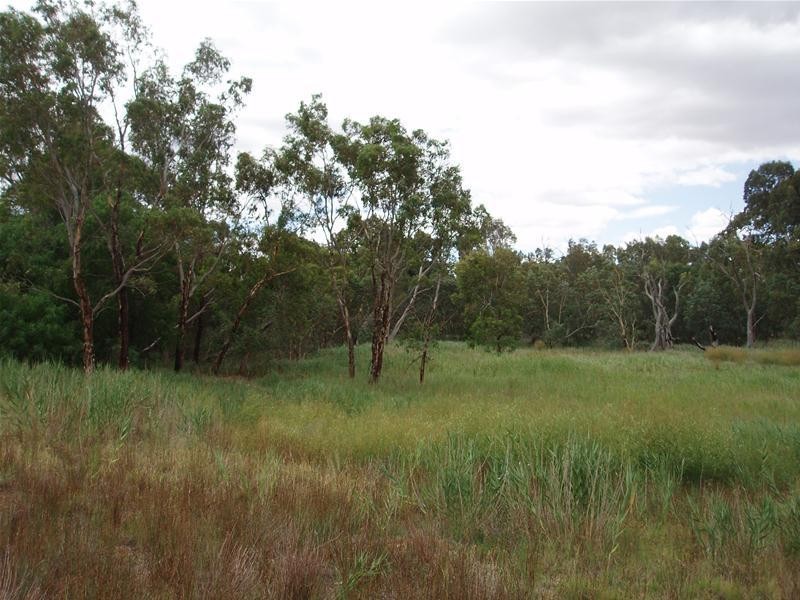 Allotment 16 Black Hill Road, Black Hill SA 5353