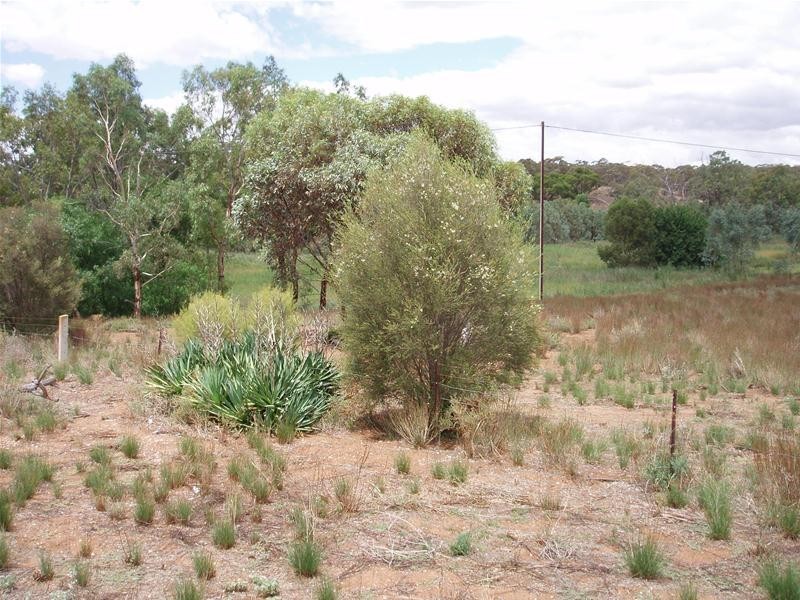 Allotment 16 Black Hill Road, Black Hill SA 5353