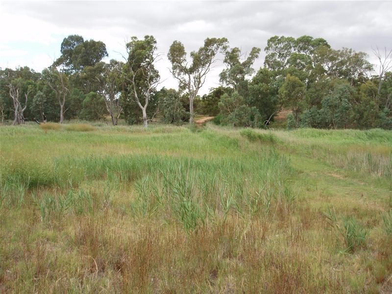 Allotment 16 Black Hill Road, Black Hill SA 5353