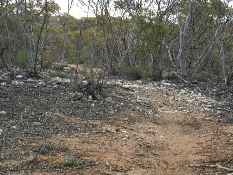 138 Murraylands Road, Black Hill SA 5353