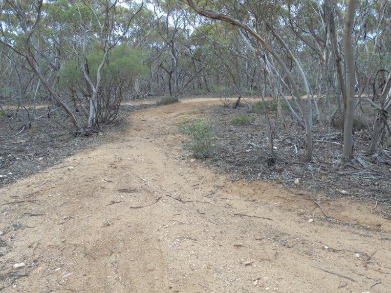 138 Murraylands Road, Black Hill SA 5353