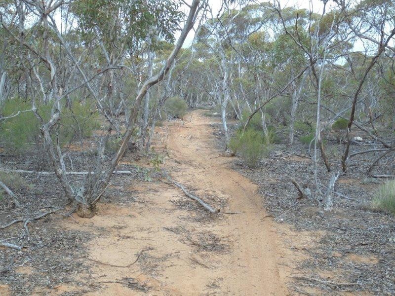 138 Murraylands Road, Black Hill SA 5353