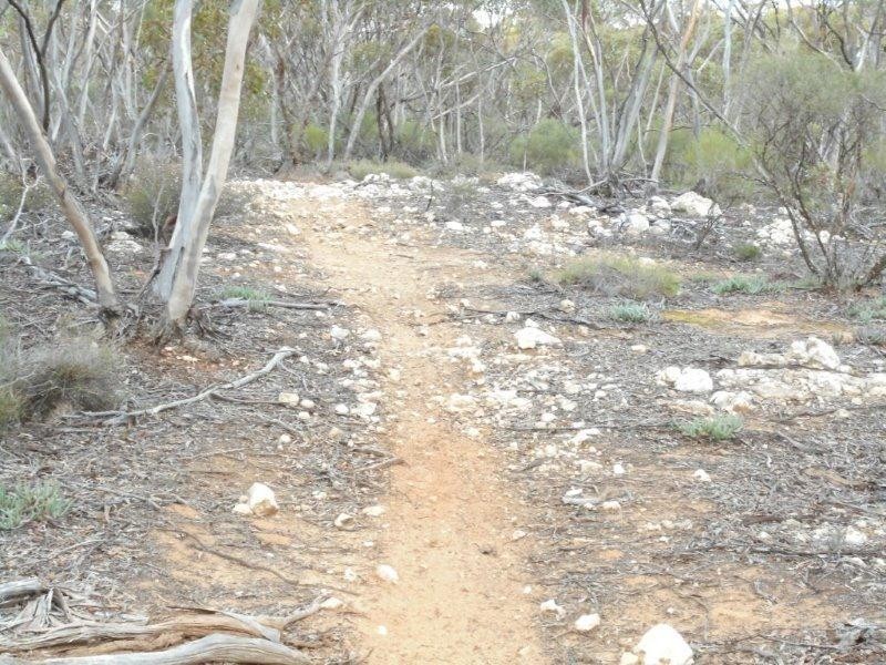 138 Murraylands Road, Black Hill SA 5353