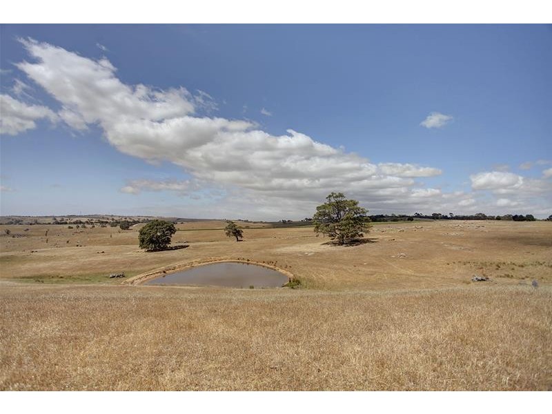 Pieces 1 & 2 Parkers Road, Springton SA 5235