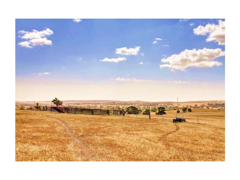 Pieces 1 & 2 Parkers Road, Springton SA 5235