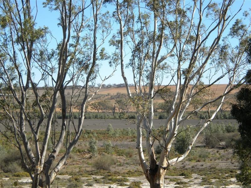 42 Rob Loxton Road, Walker Flat SA 5238