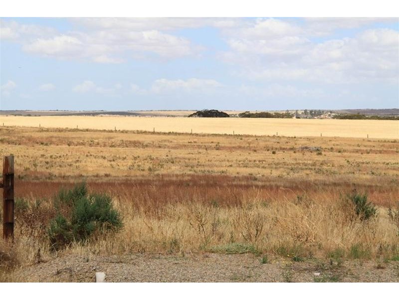 93 Magpie Crescent, Mannum SA 5238