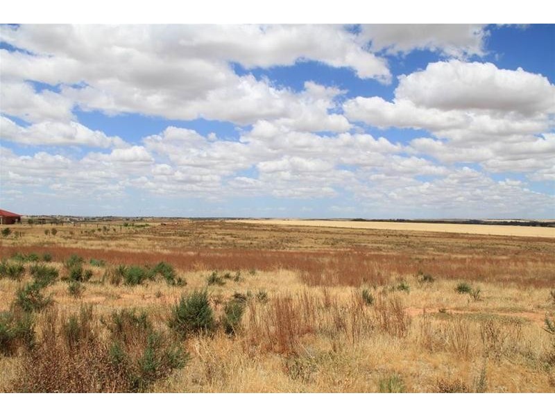 93 Magpie Crescent, Mannum SA 5238