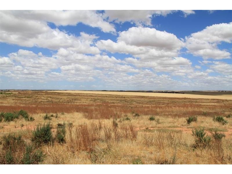 93 Magpie Crescent, Mannum SA 5238