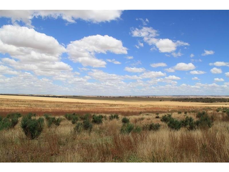 93 Magpie Crescent, Mannum SA 5238