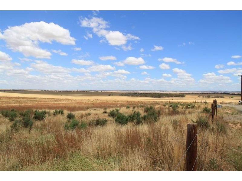 93 Magpie Crescent, Mannum SA 5238