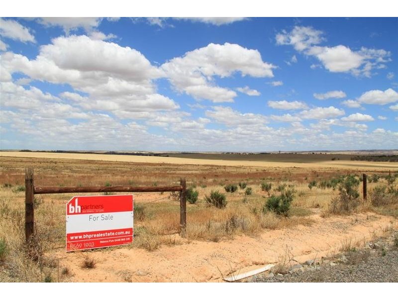 93 Magpie Crescent, Mannum SA 5238