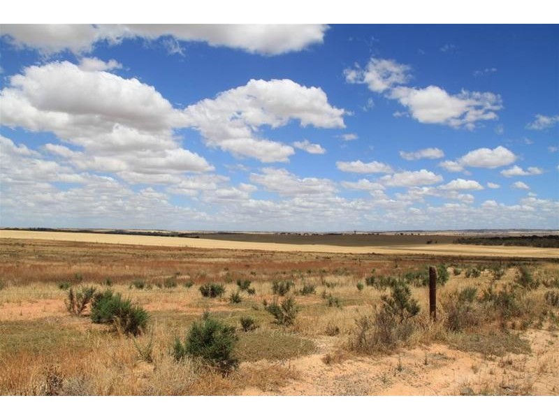 93 Magpie Crescent, Mannum SA 5238