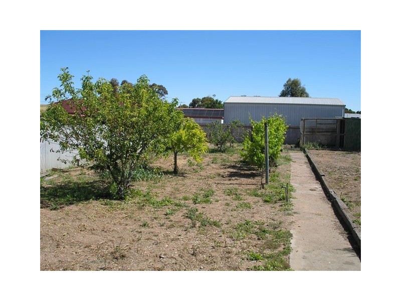 29 Crawford Crescent, Mannum SA 5238