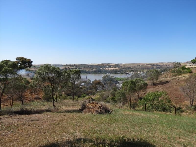 48 Crawford Crescent, Mannum SA 5238