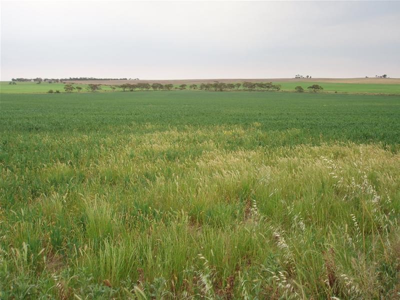 Section 399 Ridley Road, Mannum SA 5238