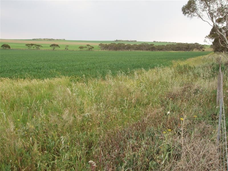 Section 399 Ridley Road, Mannum SA 5238