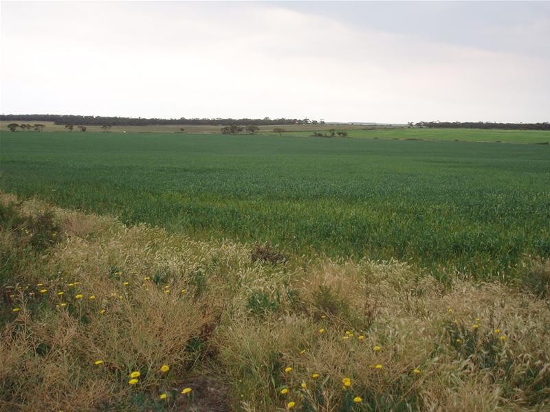 Section 399 Ridley Road, Mannum SA 5238