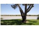 Avoca Dell Drive, Murray Bridge SA 5253