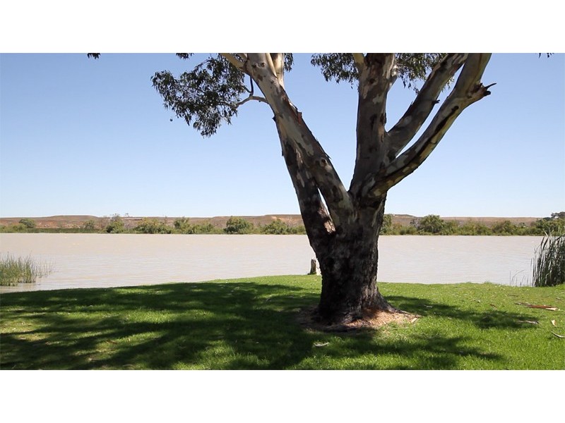 Avoca Dell Drive, Murray Bridge SA 5253