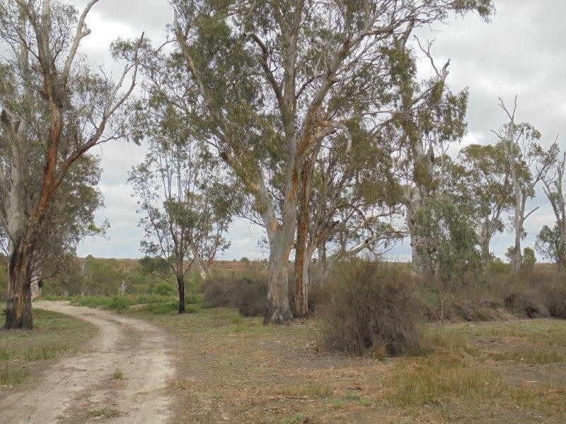 80 River Reserve Road, Swan Reach SA 5354