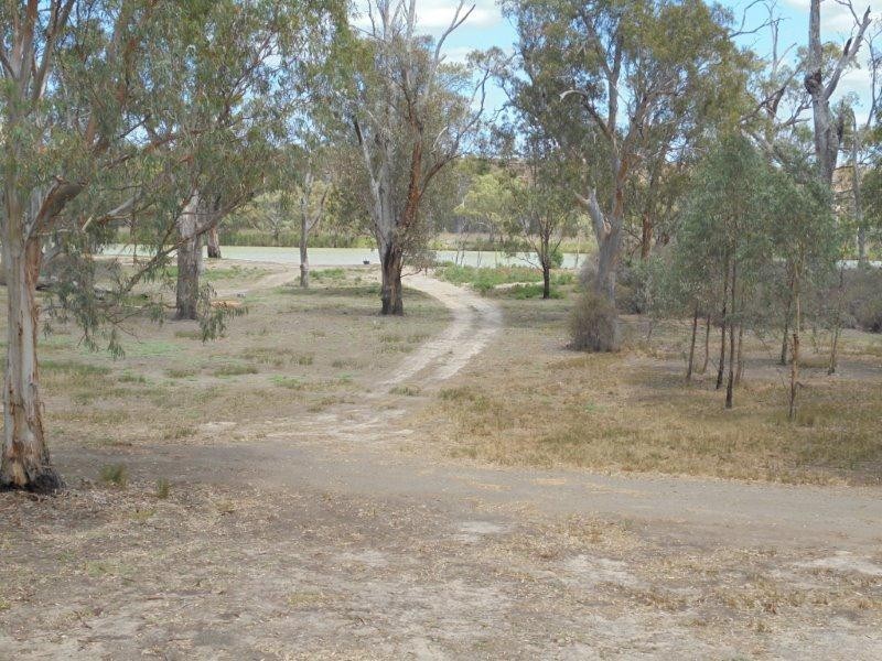 80 River Reserve Road, Swan Reach SA 5354