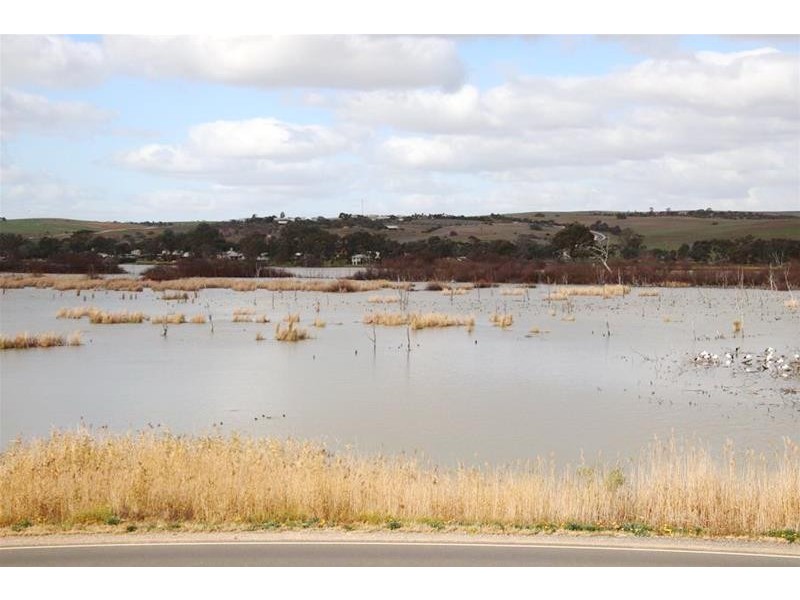 4 Purnong Road, Mannum SA 5238