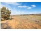 221 Dabinett Road, Cowirra via, Mannum SA 5238