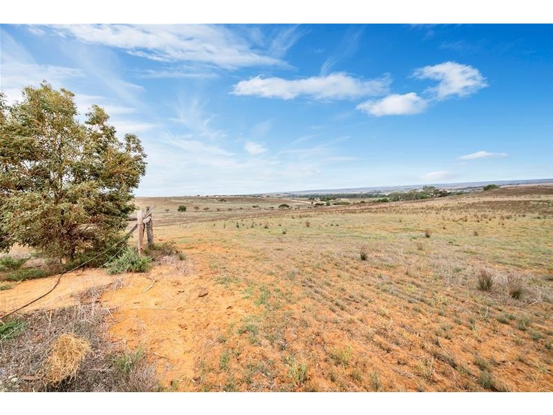 221 Dabinett Road, Cowirra via, Mannum SA 5238