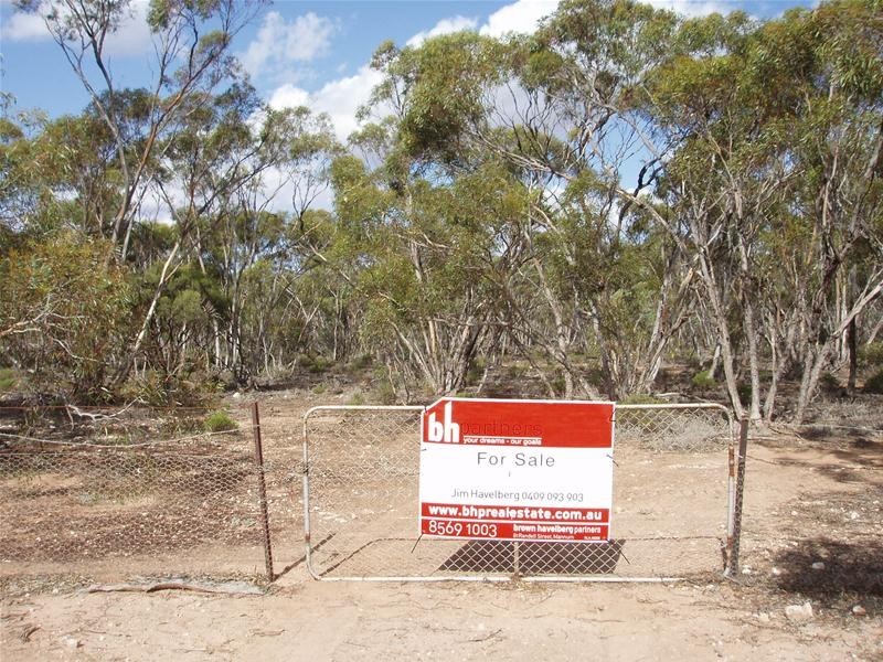 Section 90 Yookamurra Road, Swan Reach SA 5354