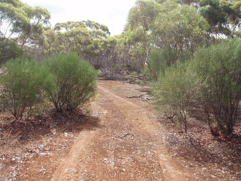 Section 90 Yookamurra Road, Swan Reach SA 5354