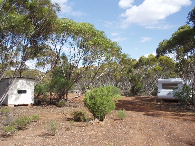 Section 90 Yookamurra Road, Swan Reach SA 5354