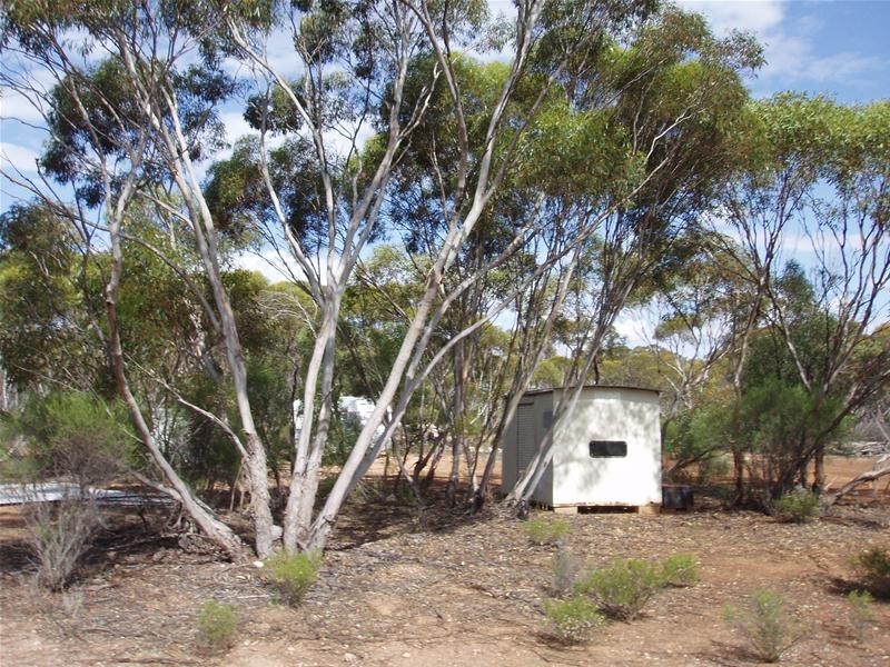 Section 90 Yookamurra Road, Swan Reach SA 5354