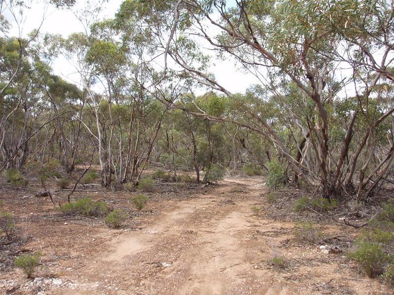 Section 90 Yookamurra Road, Swan Reach SA 5354