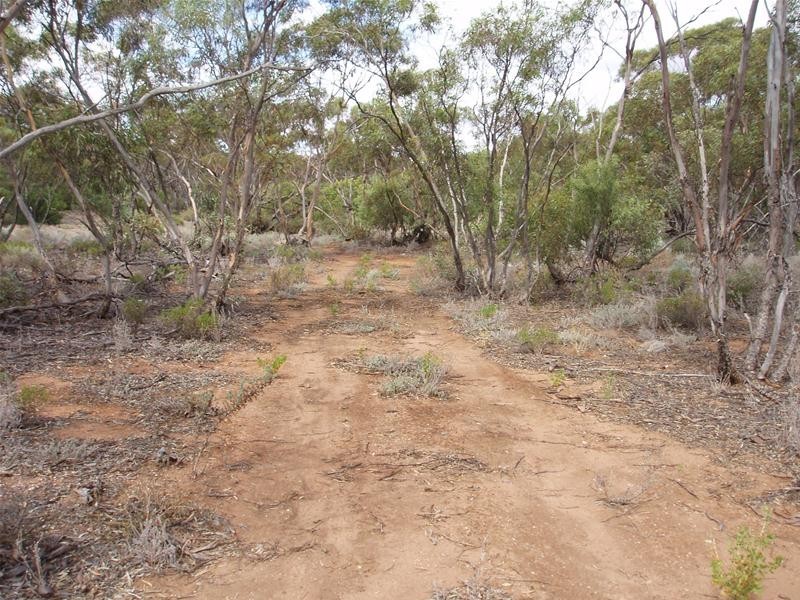 Section 90 Yookamurra Road, Swan Reach SA 5354