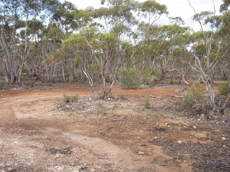 Section 90 Yookamurra Road, Swan Reach SA 5354