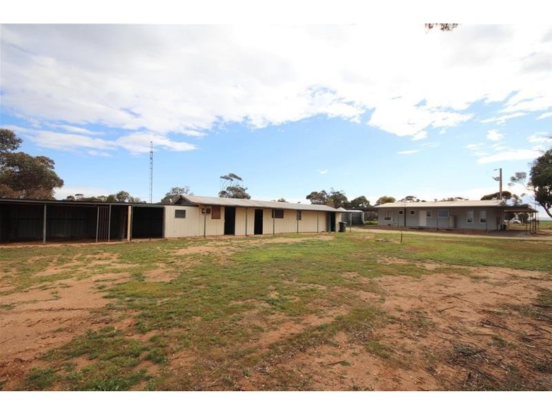38 Ridley Road, Mannum SA 5238