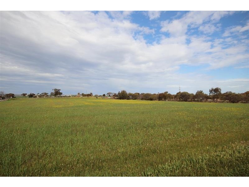 38 Ridley Road, Mannum SA 5238