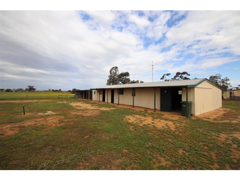 38 Ridley Road, Mannum SA 5238