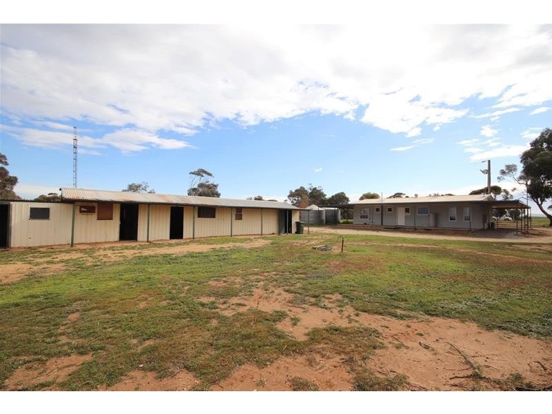 38 Ridley Road, Mannum SA 5238
