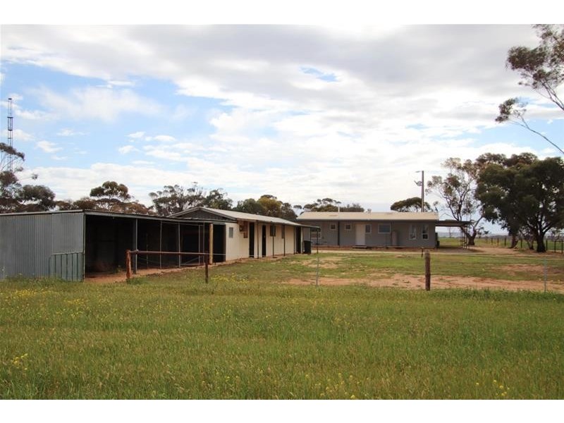 38 Ridley Road, Mannum SA 5238