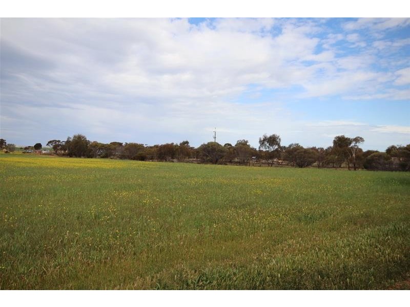 38 Ridley Road, Mannum SA 5238