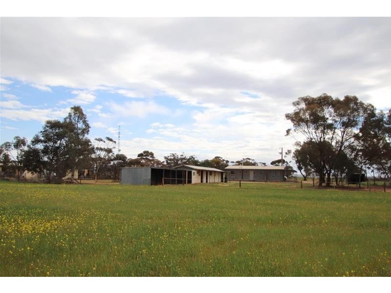 38 Ridley Road, Mannum SA 5238