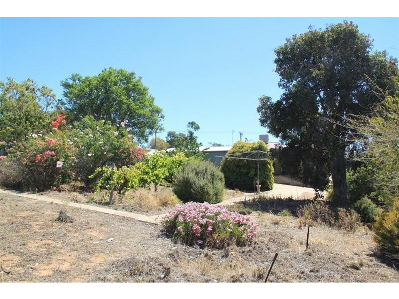 8 Hamilton Street, Mannum SA 5238