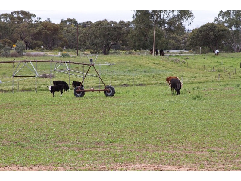 Lot 224 Burdett and Bowhill Road, Mannum SA 5238